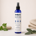 Pet Odor Remover Spray for Dogs & Cats – Enzyme Stain & Smell Eliminator, 48-Hour Freshness (100ml)