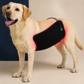 Far Infrared Red Light Therapy Pad for Dogs – Pet Rehabilitation & Bone Healing Wrap (Battery-Free, 105℃ Heat Resistant)